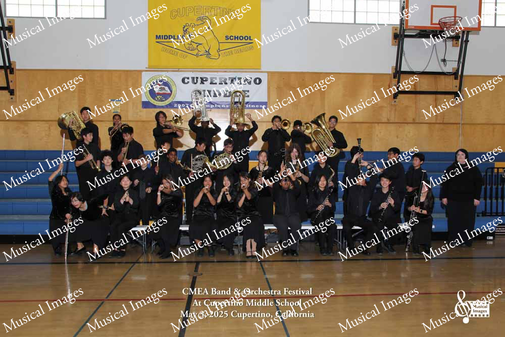Musical Images